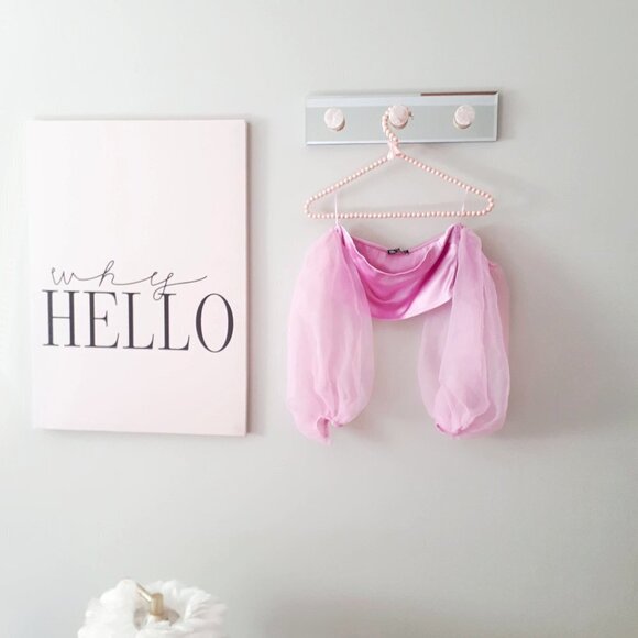 NWOT Zara pink organza crop top, S - Picture 9 of 13